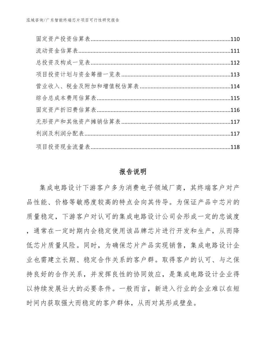 广东智能终端芯片项目可行性研究报告【参考范文】_第5页
