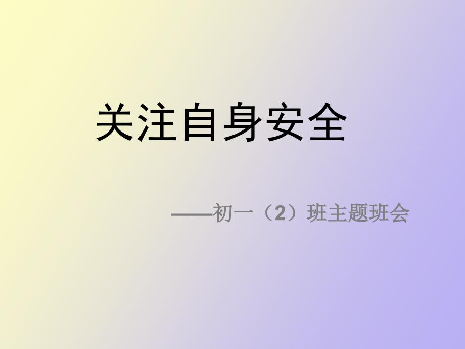 关注自身安全主题班会_第2页