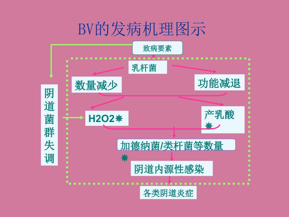 中国妇科生殖道感染的诊断ppt课件_第4页