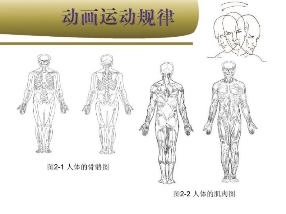 最新动画运动规律第二部分幻灯片_第3页