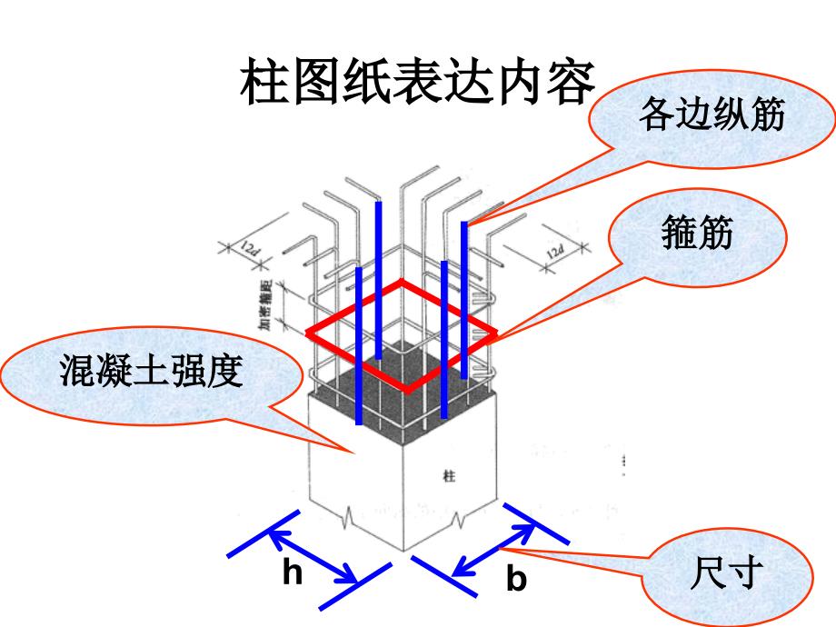 《柱配筋图讲解》PPT课件_第1页