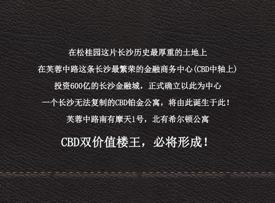 精品文达观机构长沙金阳大厦项目整合推广策划案_第3页