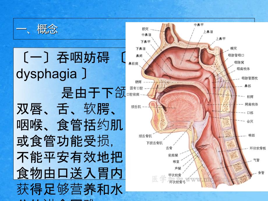 吞咽障碍饮食管理ppt课件_第3页