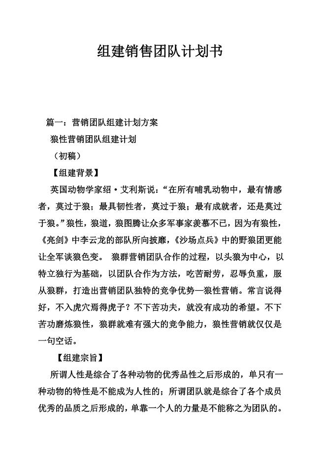 组建销售团队计划书