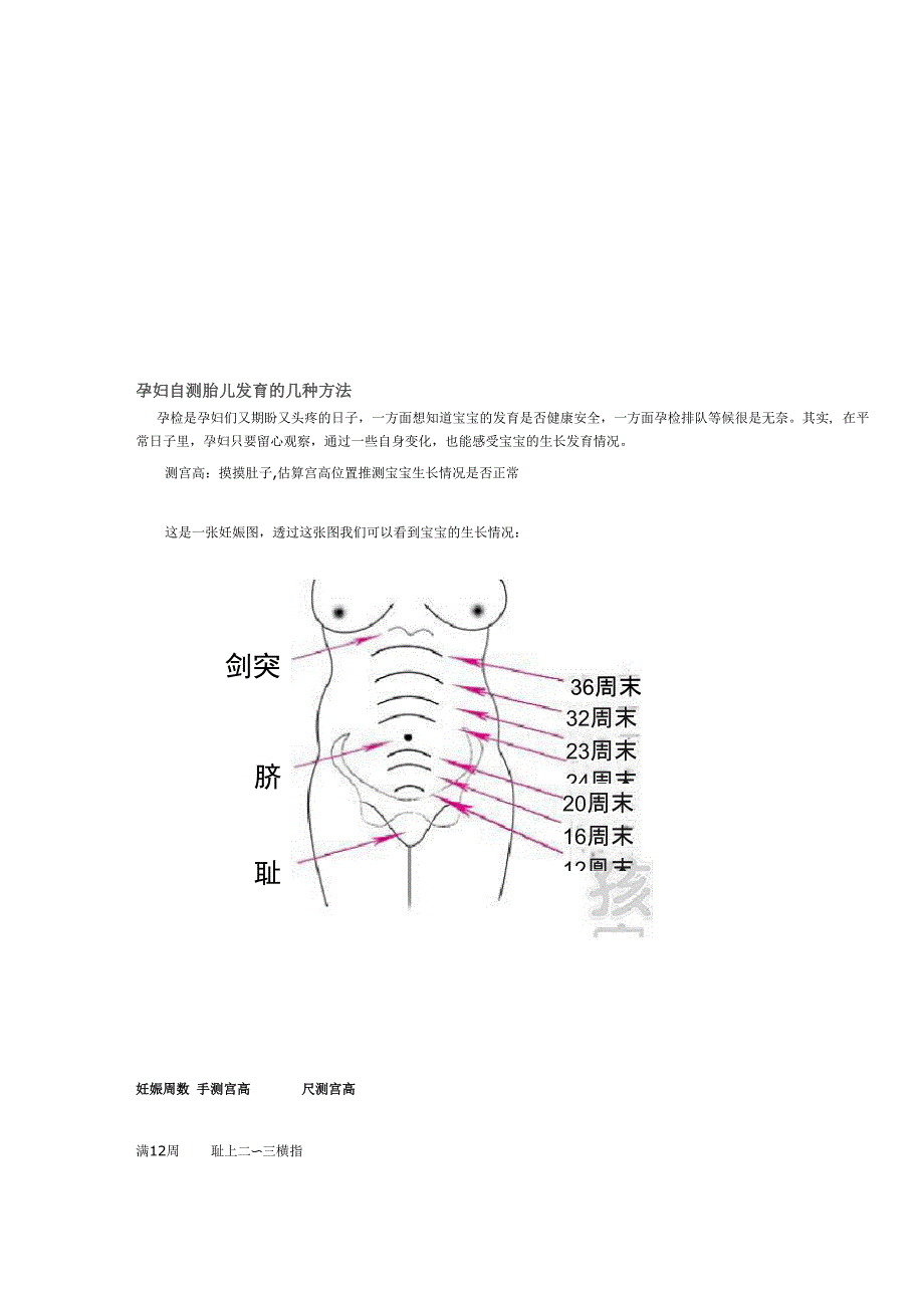 测量宫高和腹围_第2页