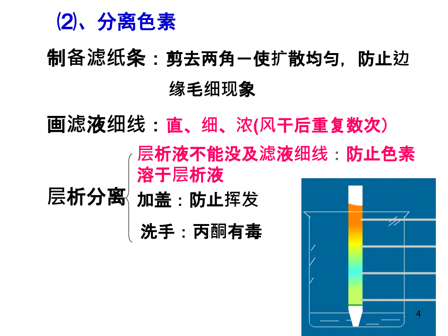 叶绿体色素的提取和分离56730_第4页