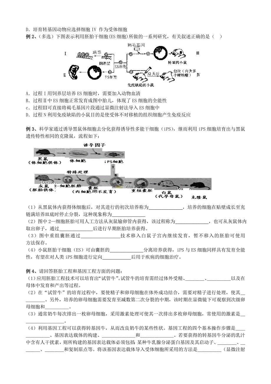 2022年高三生物一轮复习 专题三 胚胎工程学案_第5页