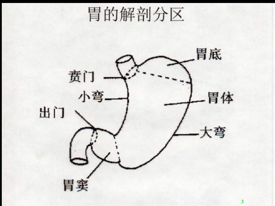 医学超级全胃十二指肠疾病参考PPT_第3页