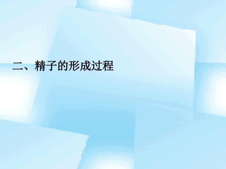 专题减数分裂_第5页