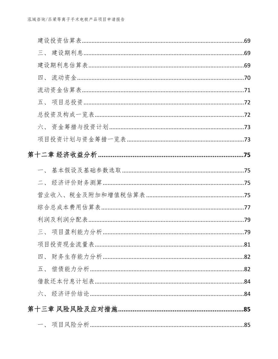 吕梁等离子手术电极产品项目申请报告（模板参考）_第5页