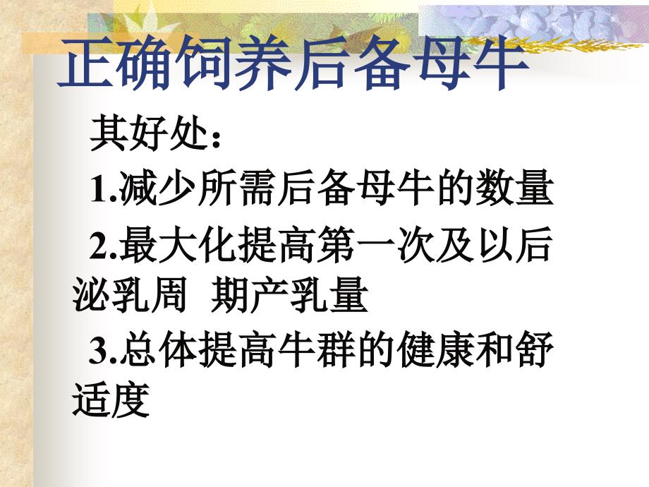 后母牛的饲养管理appt课件_第4页