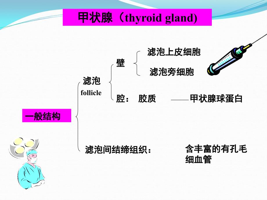 甲状腺癌术后TSH抑制治疗机理学习_第3页