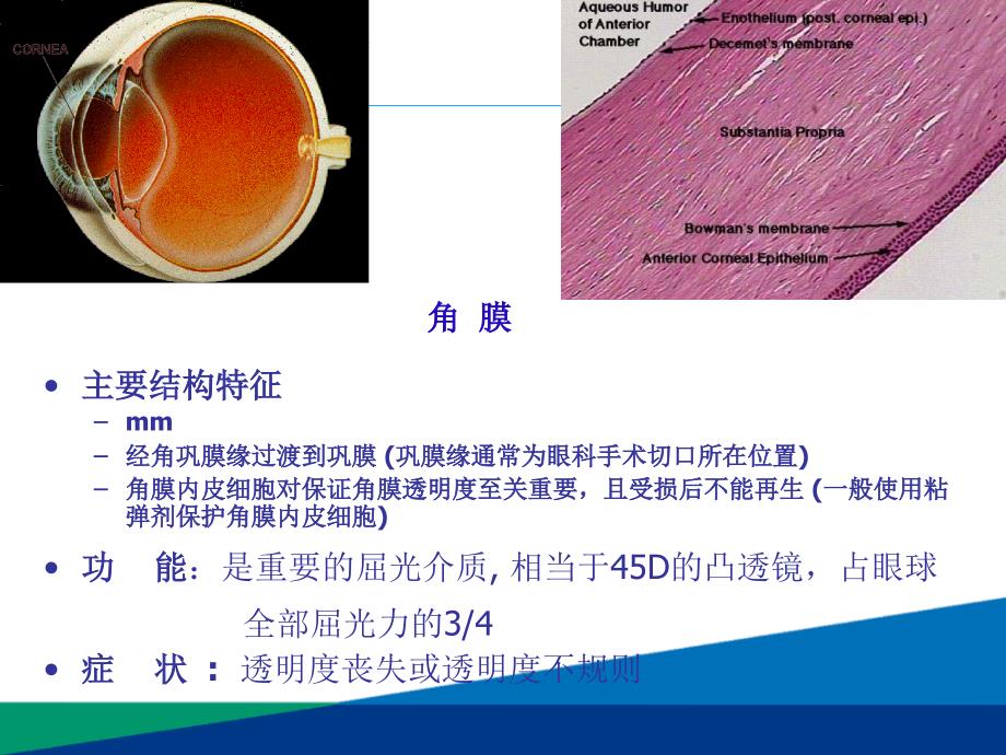 眼科超乳玻切手术基础知识_第4页