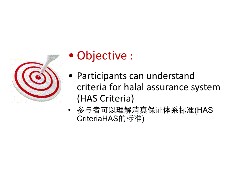 HAS23000体系建立与实施_第2页