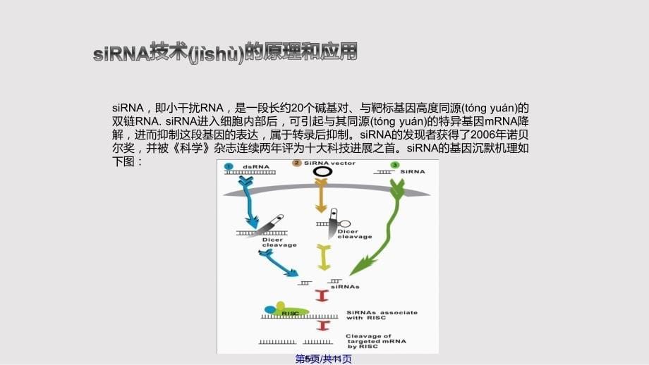 gp与系统性红斑狼疮的基因治疗实用教案_第5页