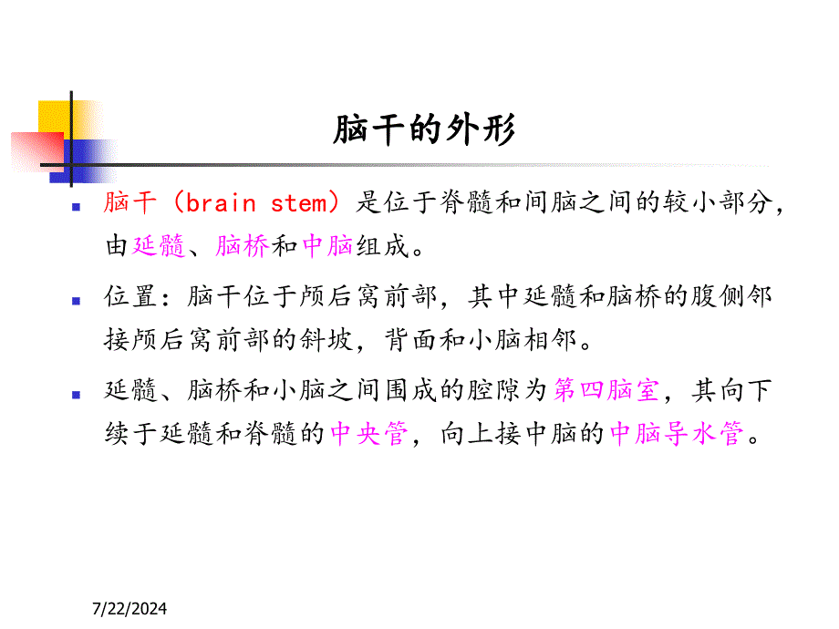 脑干的解剖及临床综合征PPT通用课件_第4页