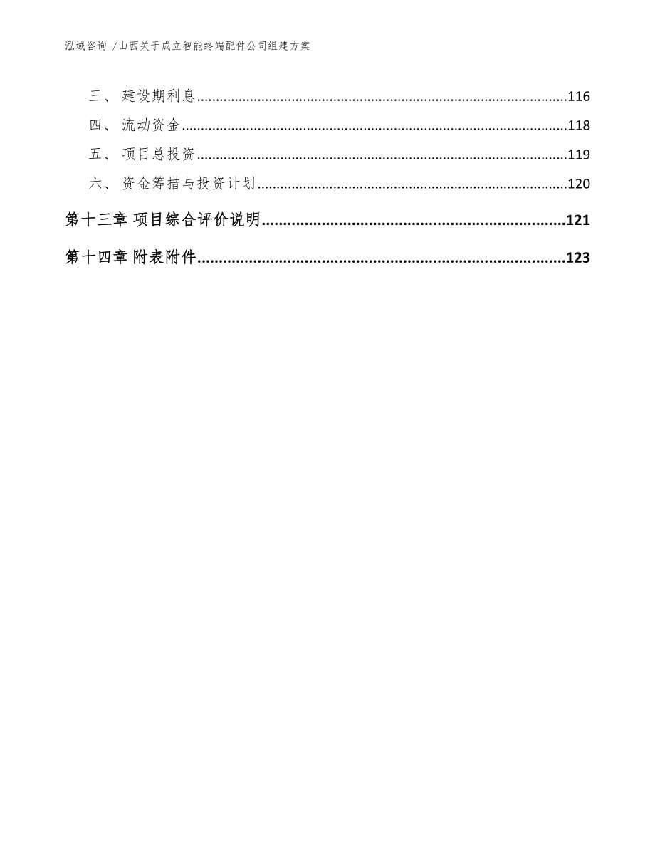 山西关于成立智能终端配件公司组建方案（范文模板）_第5页