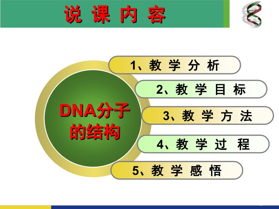 DNA分子的结构说课(课堂PPT)_第2页