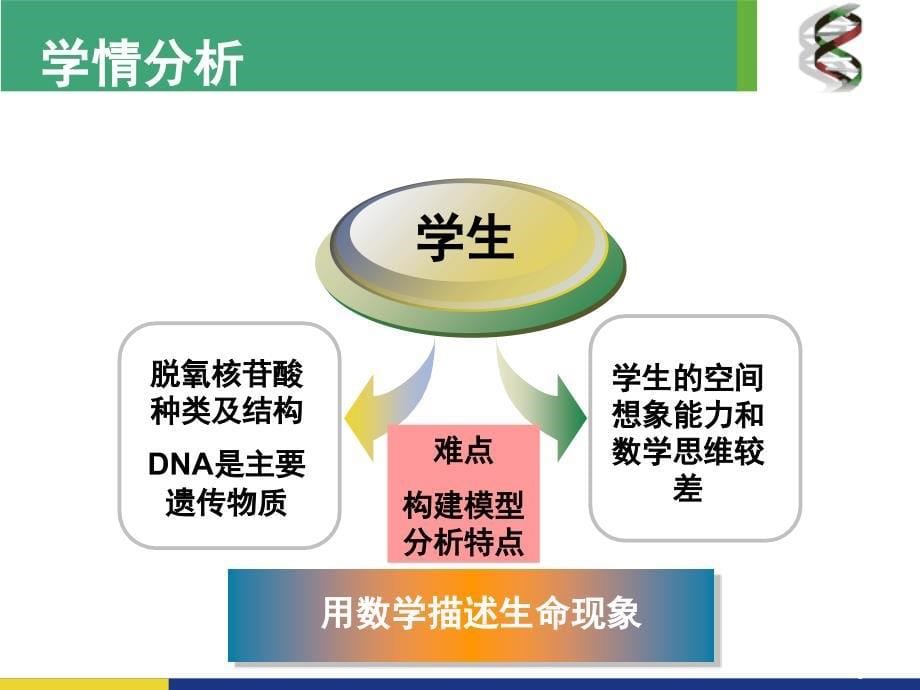 DNA分子的结构说课(课堂PPT)_第5页