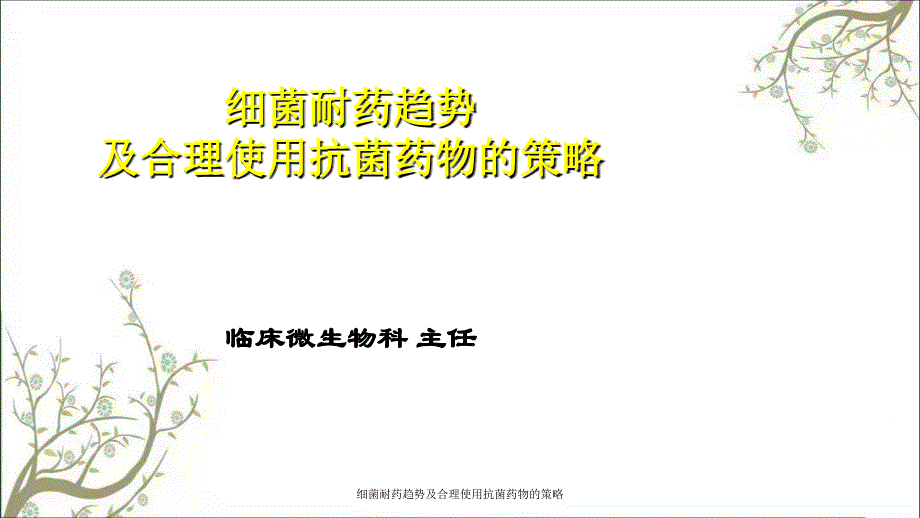 细菌耐药趋势及合理使用抗菌药物的策略_第1页