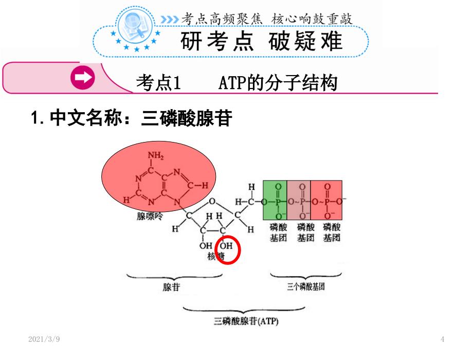 ATP和呼吸方式PPT课件_第4页