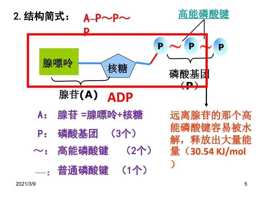 ATP和呼吸方式PPT课件_第5页