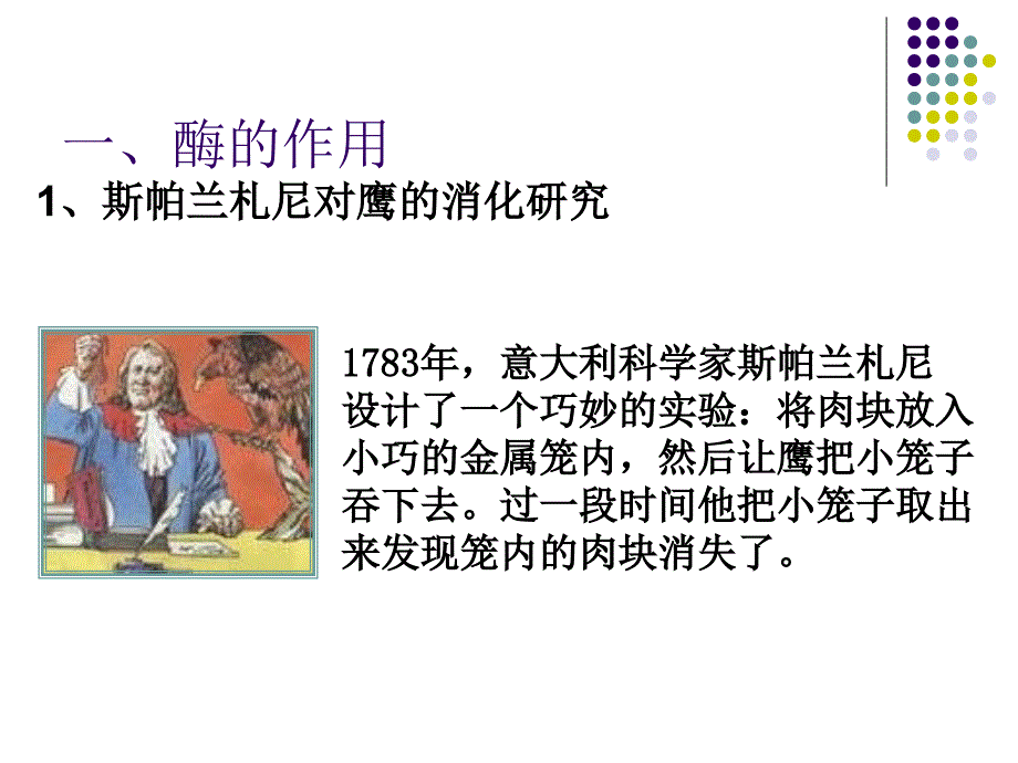 降低化学反应活化能的酶1_第2页