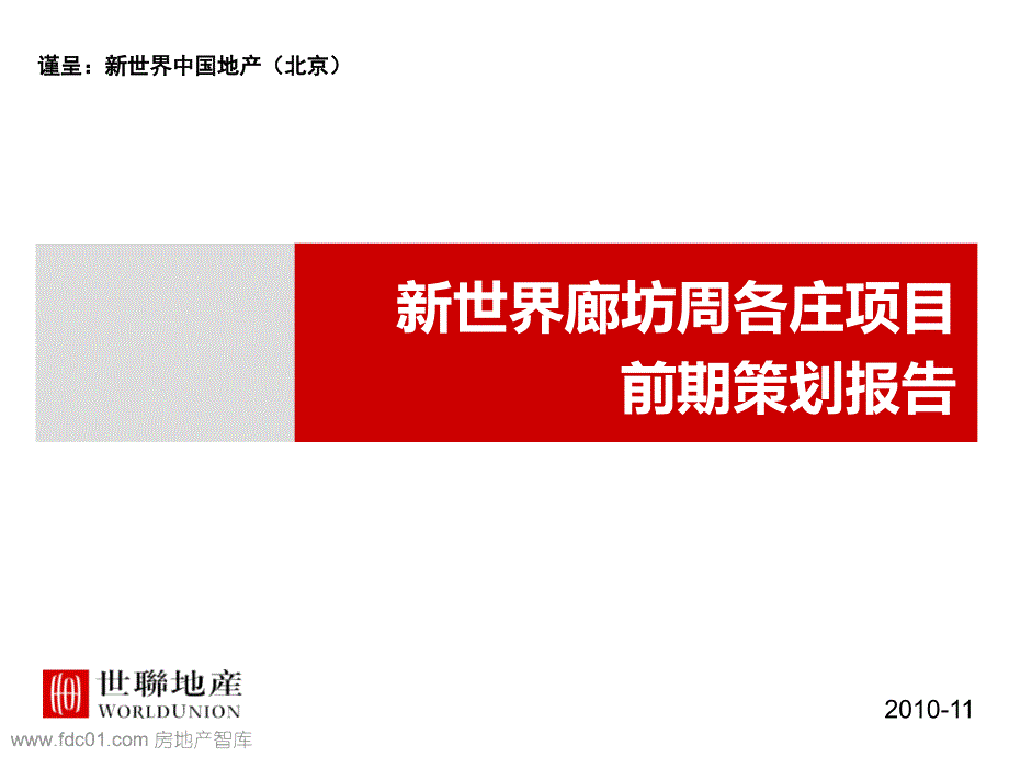 新世界廊坊周各庄项目前期策划报告117p_第1页