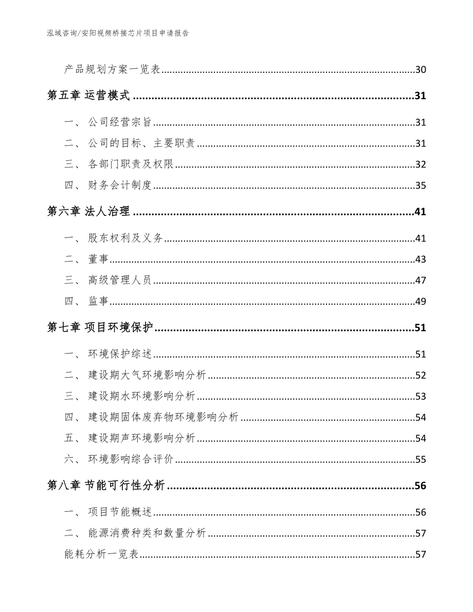 安阳视频桥接芯片项目申请报告【范文】_第3页