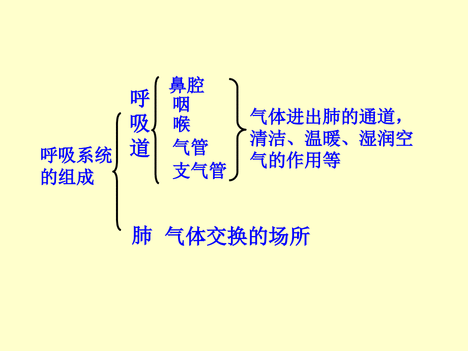 人体与外界的气体交换PPT课件教学资料_第3页