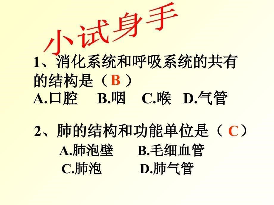 人体与外界的气体交换PPT课件教学资料_第5页