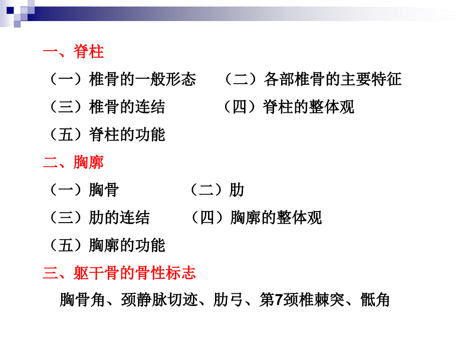 躯干骨及连结_第2页