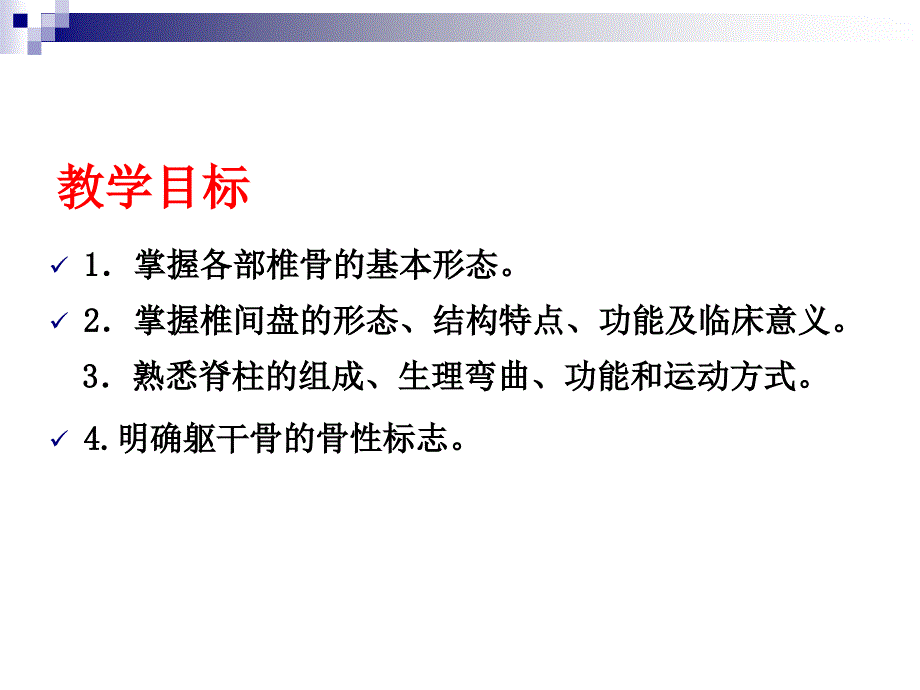 躯干骨及连结_第3页