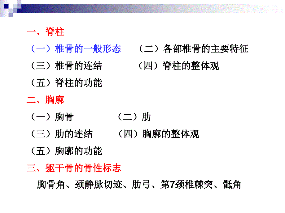 躯干骨及连结_第4页