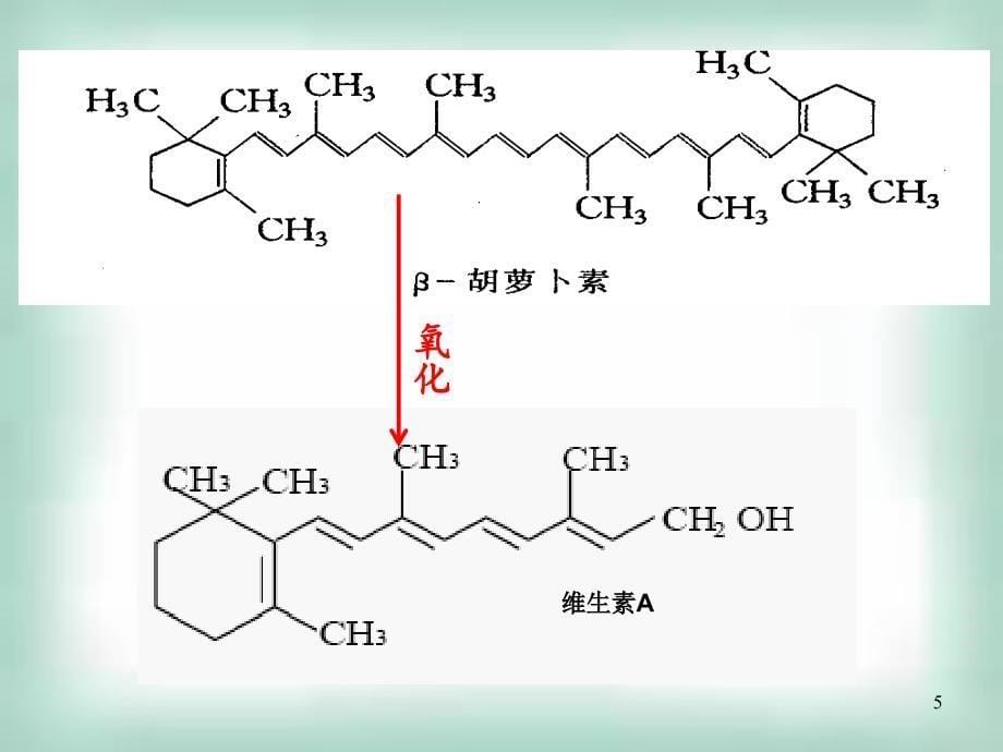 生物选修1胡萝卜素的提取人教版ppt课件_第5页