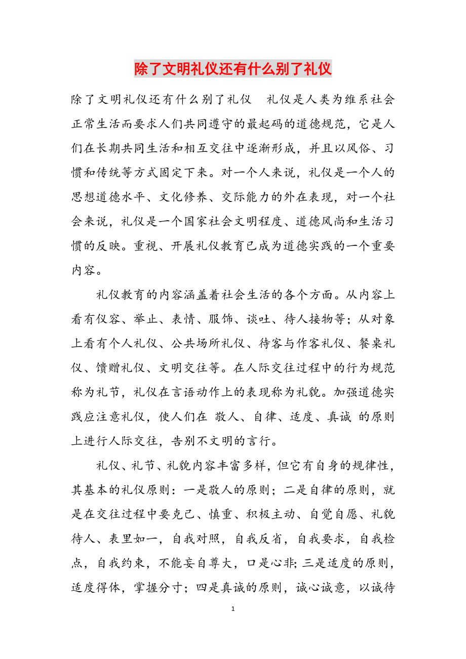 2023年除了文明礼仪还有什么别了礼仪.docx_第1页