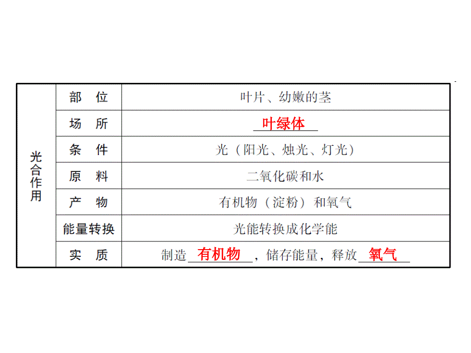 中考生物总复习课件第三单元第四章绿色植物的光合作用_第4页