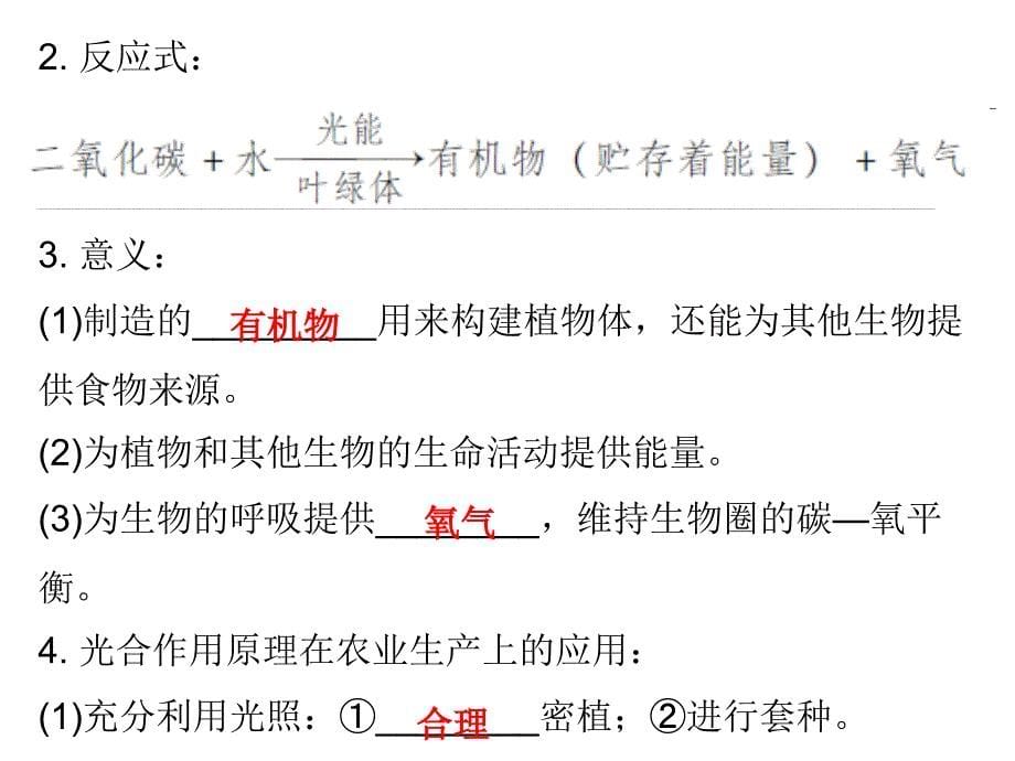 中考生物总复习课件第三单元第四章绿色植物的光合作用_第5页