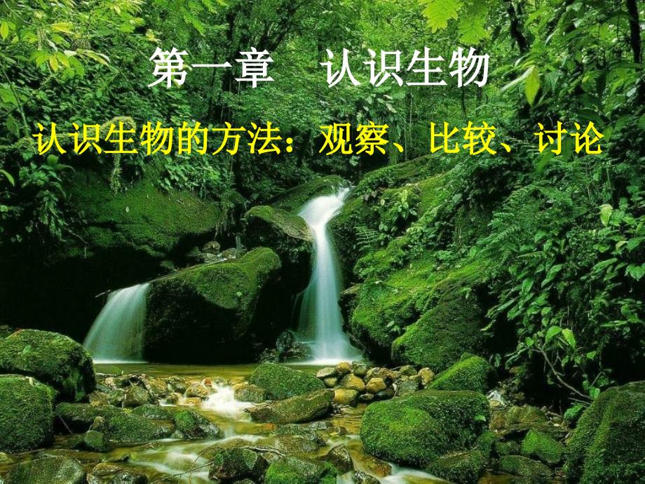 河北省平泉县第四中学七年级生物上册 1.1.1 生物的特征课件 新人教版_第3页