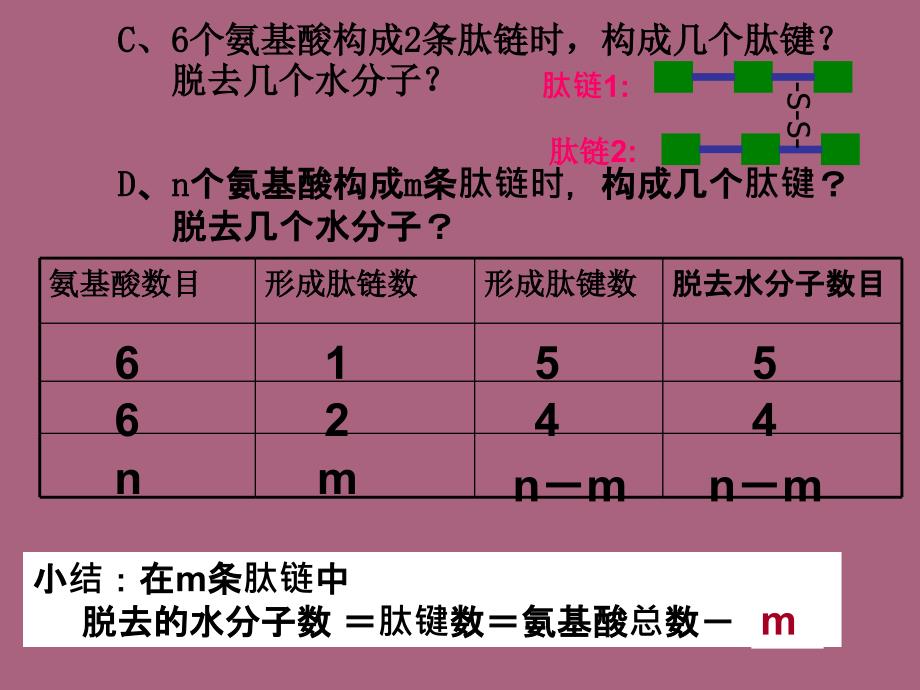 蛋白质计算题ppt课件_第2页