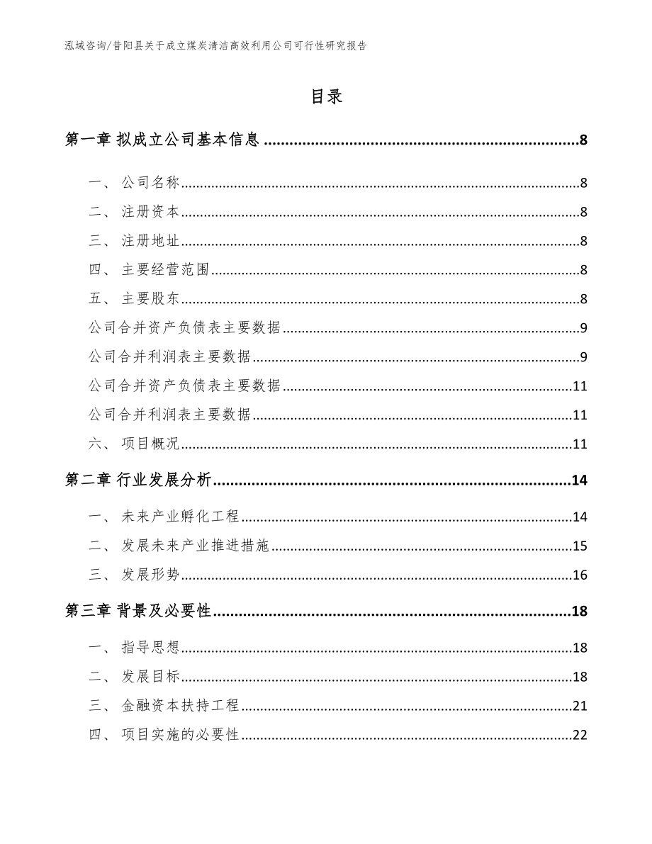 昔阳县关于成立煤炭清洁高效利用公司可行性研究报告_模板范本_第2页