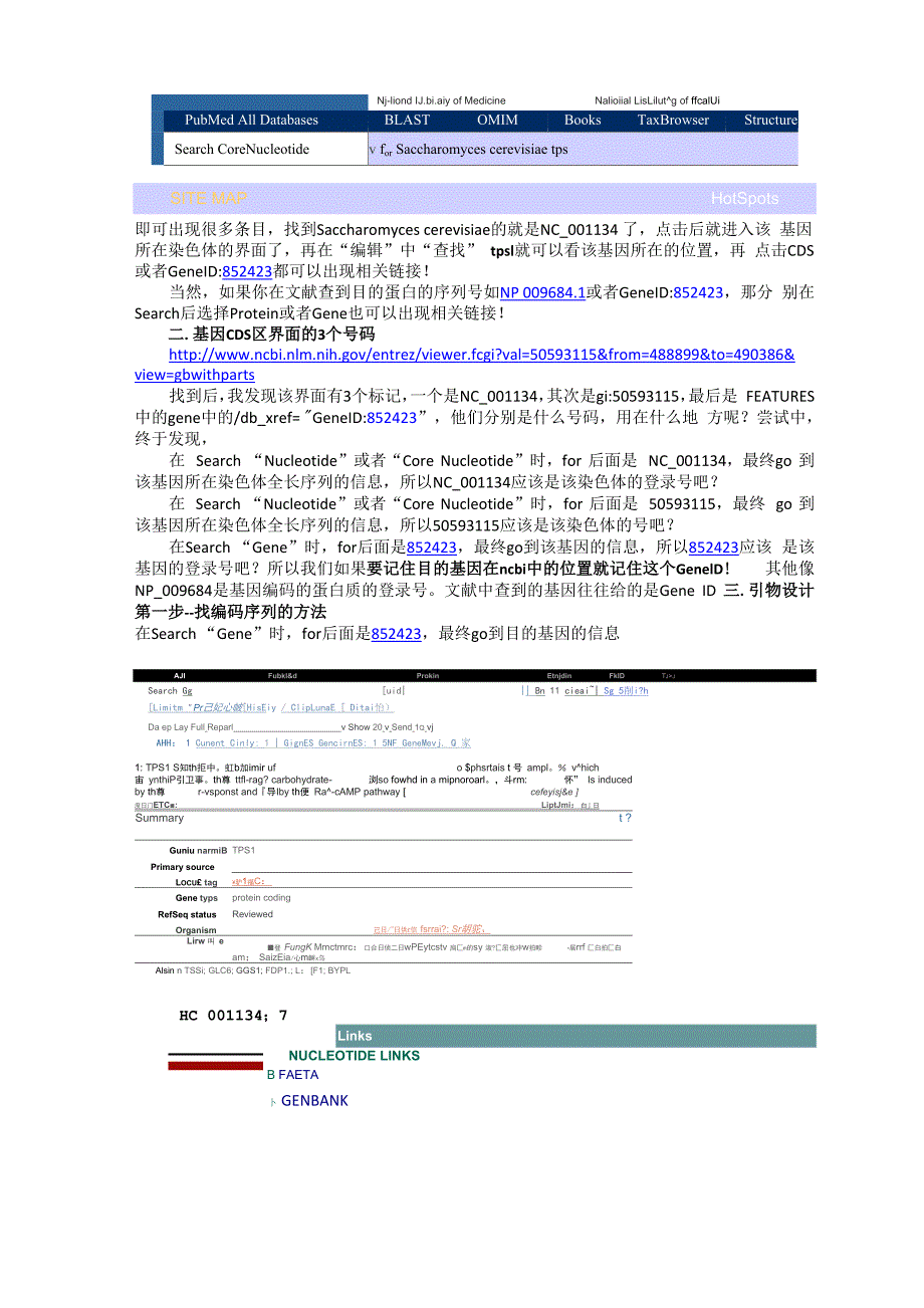 设计引物原则以及如何查找基因序列_第3页