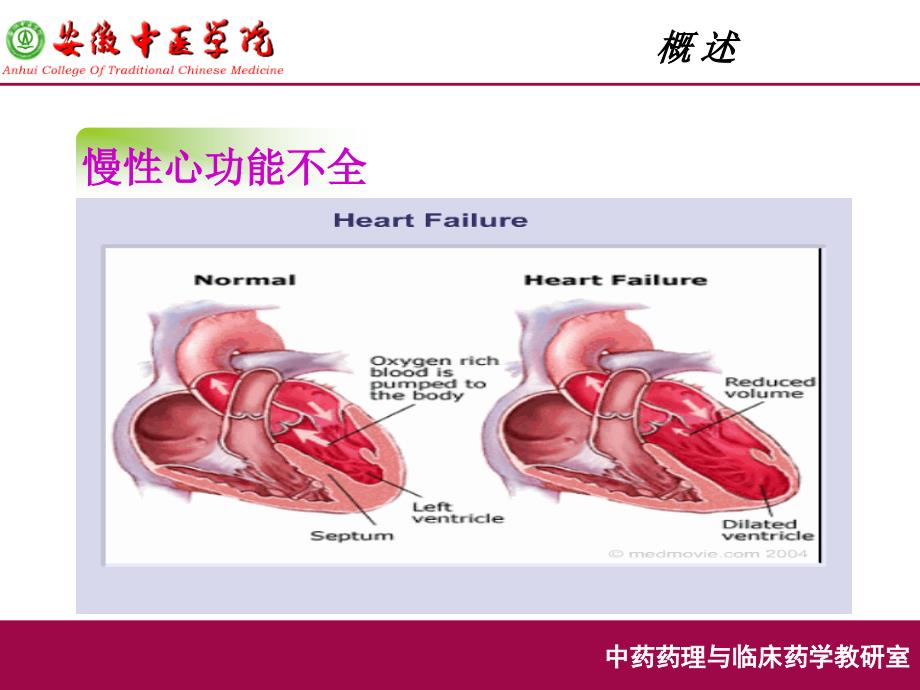 抗慢性心功能不全药-(抗心力衰竭药)_第2页