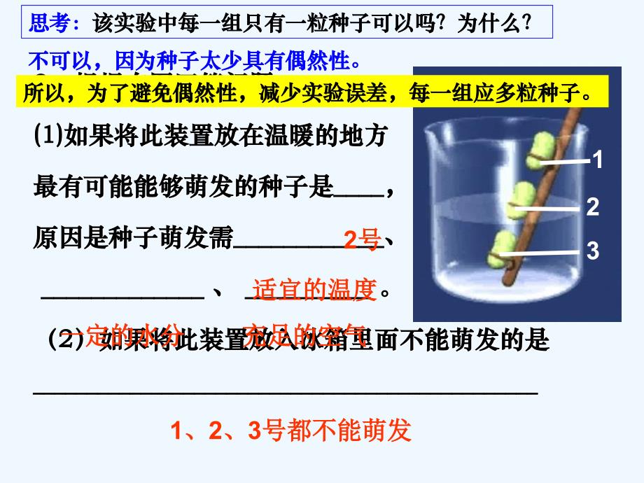 第二节植株的生长（坚）_第3页