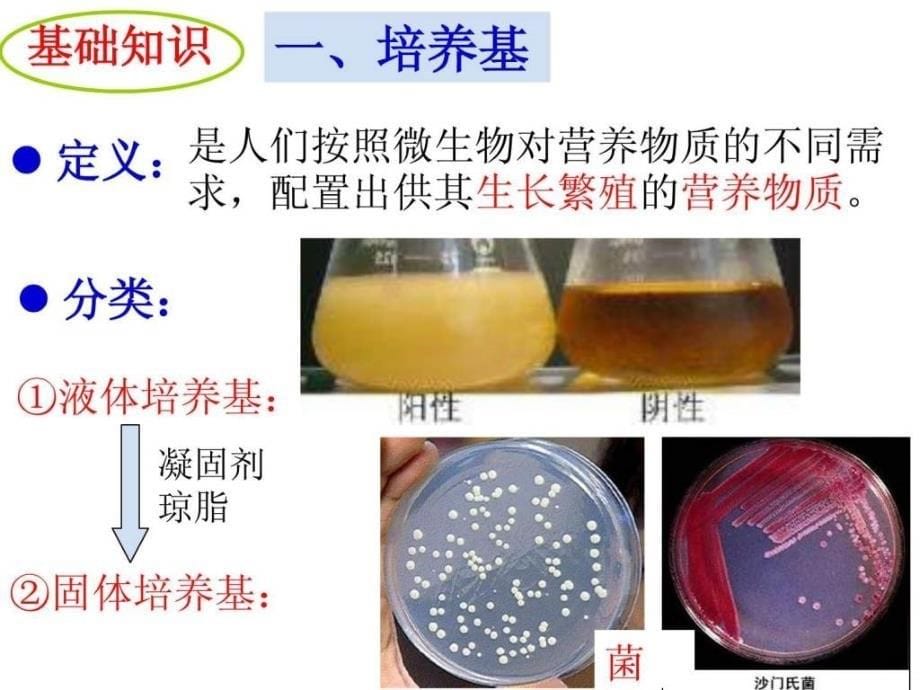 课题1微生物的实验室培养_第5页