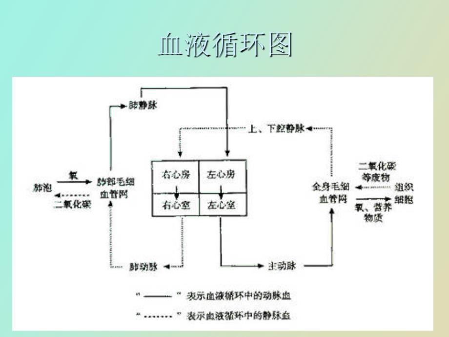 输液反应的观察及护理_第4页