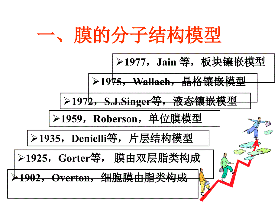 第二节细胞膜的分子结构名师编辑PPT课件_第2页