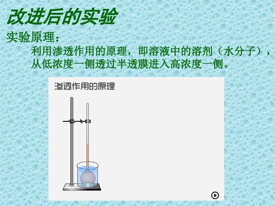 渗透作用实验的改进_第5页