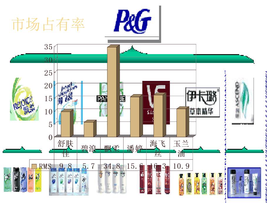 0lu应用文书宝洁公司波士顿矩阵分析_第1页