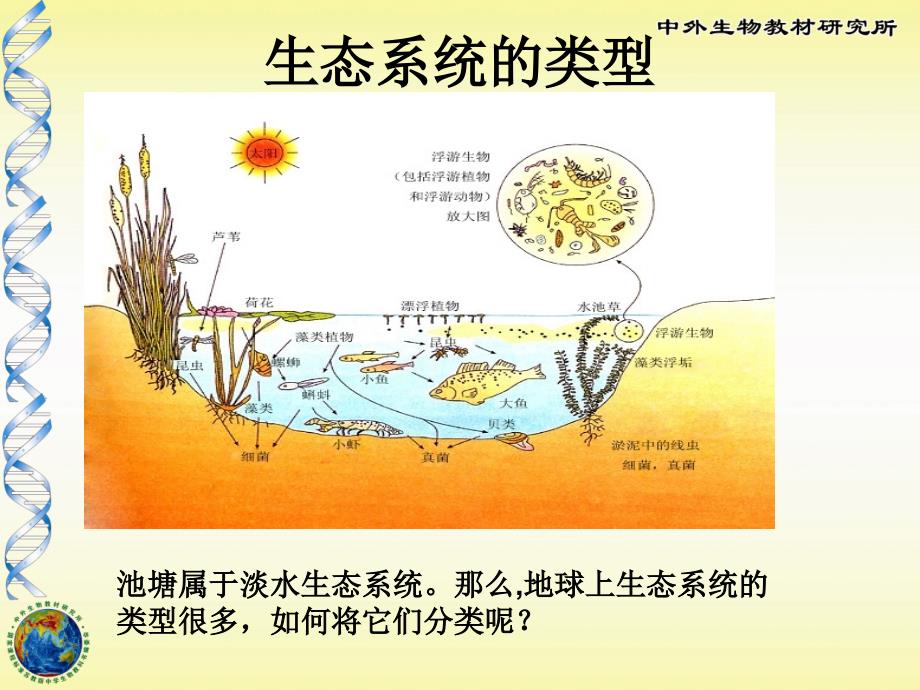 生物圈中的各种生态系统_第3页